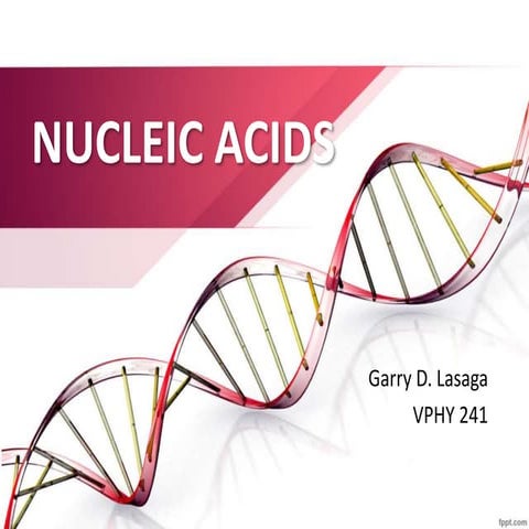 Nucleic Acids and DNA 