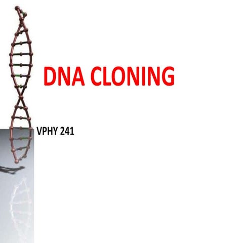 Introduction to DNA Cloning 