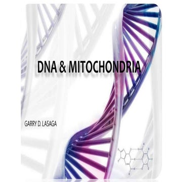 DNA and Mitochondria 
