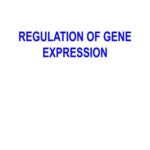 Regulation of Gene Expression 