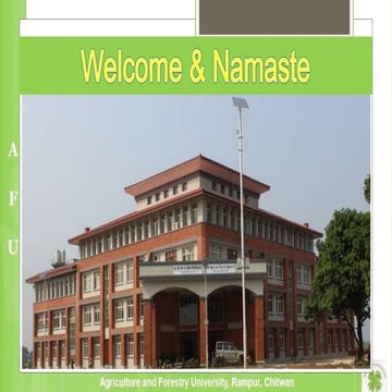 characteristics and importance of Agaricales order