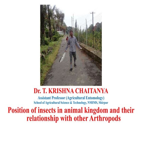 Position of insects in animal kingdom and their relationship with other arthr...