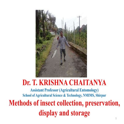 Methods of insect collection, preservation, display and storage by Dr. T. Kri...