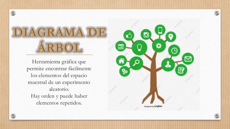 Que Es Un Diagrama De Arbol Ejemplos Gracur - vrogue.co