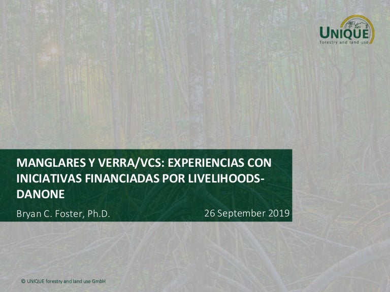 thumbnail of  Manglares y Verra/VCS: Experiencias con Iniciativas Financiadas por Livelihoodsdanone