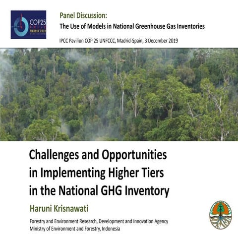 Challenges and Opportunities in Implementing Higher Tiers in the National GHG...