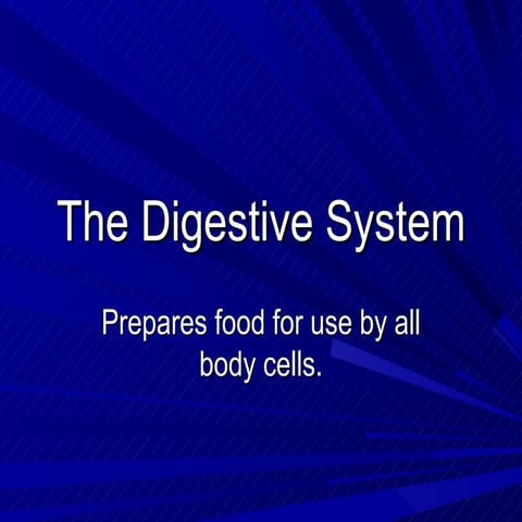 2 1dithe-digestive-system-powerpoint-100206130809-phpapp01