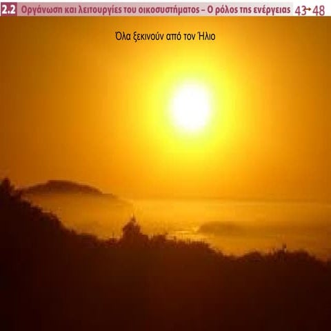 2.2 οργάνωση και λειτουργία του οικοσυστήματος   ο ρόλος της ενέργειας