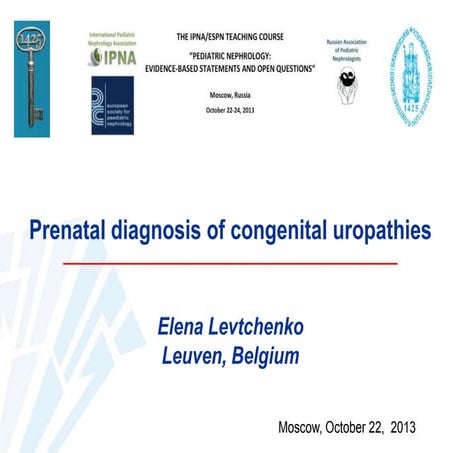 2-2. CAKUT. Elena Levtchenko (eng)