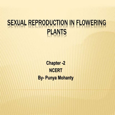 Sexual Reproduction In Flowering Plants