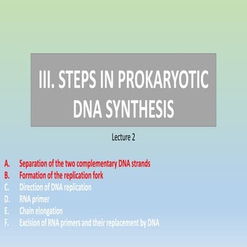 Replication fork in prokaryotic replication