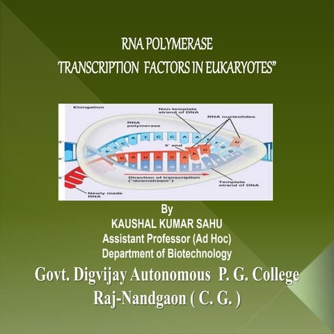  RNA polymerase and transcription factor