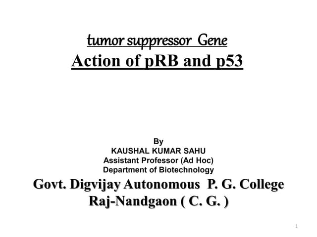 tumor suppressor gene, prb, p53 gene