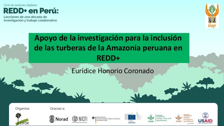 thumbnail of Apoyo de la investigación para la inclusión de las turberas de la Amazonía peruana en REDD+