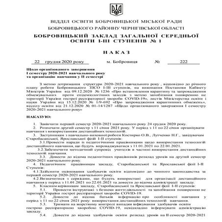 Наказ від 22.12.2020 №222
