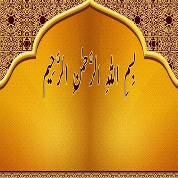 Central nervous system