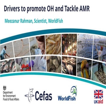 2.14_Meezanur Rahman_Drivers to promote OH and Tackle AMR