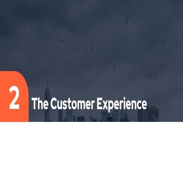 The Customer Experience