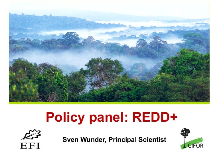 thumbnail of  Policy panel: REDD+