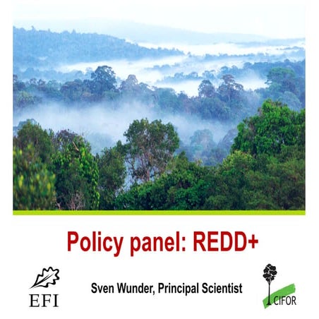 Policy panel: REDD+