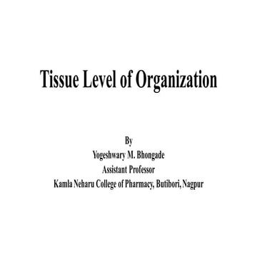 2. tissue level of organization