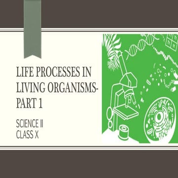 Chapter 2. Life Process in Living Organisms- Part 1 (1st Part)
