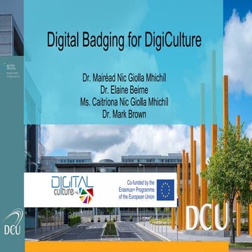 Digital Badging for DigiCulture: A Case Study