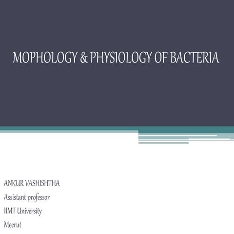 Morphology & Physiology of Bacteria