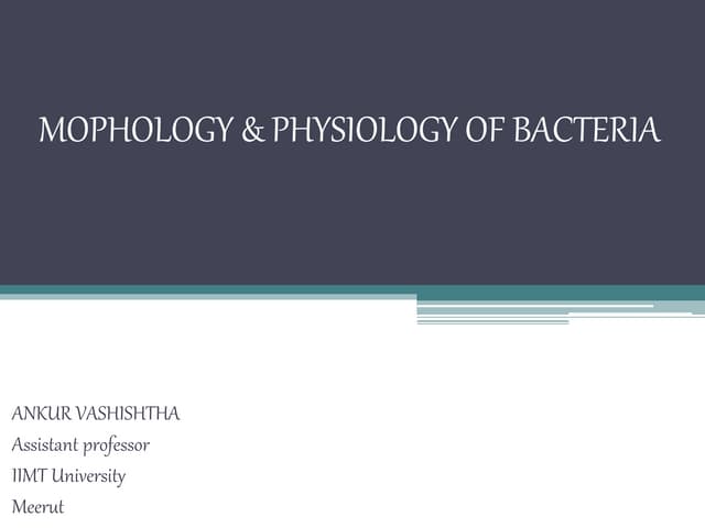 Morphology & Physiology of Bacteria