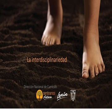 2. cómo aplicar la interdisciplinariedad con base al currículo nacion