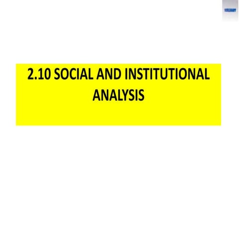 2.10  skill institutional social analysis  (2)