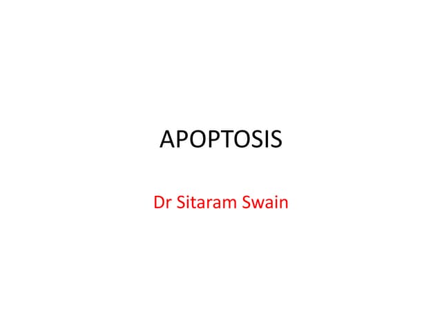 2.Apoptosis