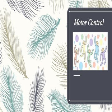 Motor Control.pptx