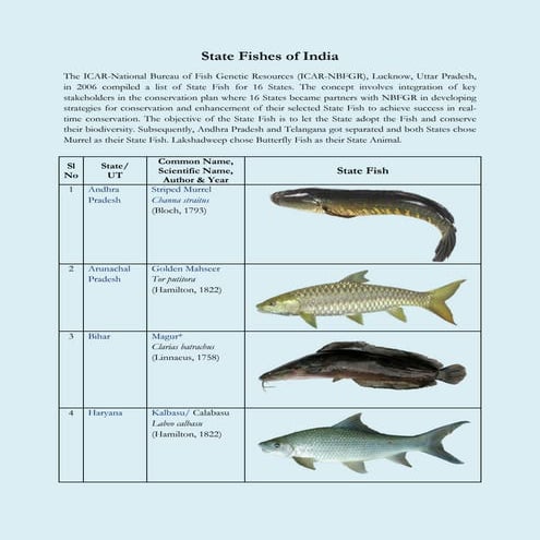 STATE FISHES OF INDIA