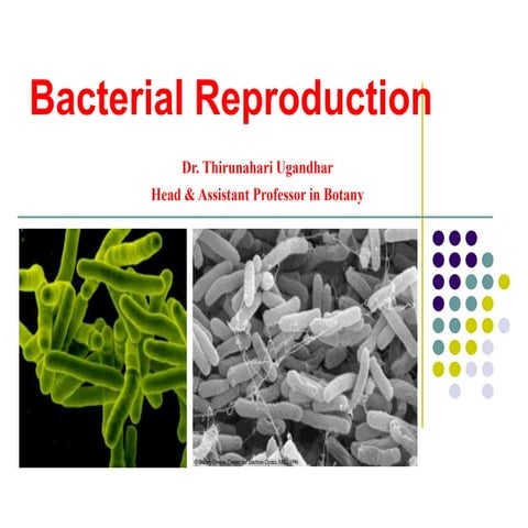 2. Bacterial Reproduction. Dr. Thirunahari Uagandhar ppt