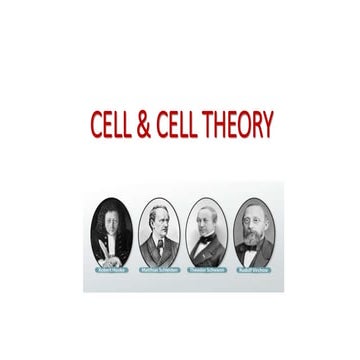 Cell & Cell Theory.pptx
