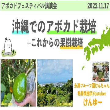 アボカドフェスティバル