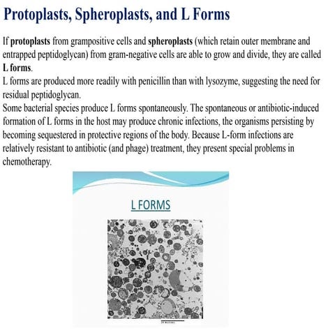 2.-Cell-structers.pdf