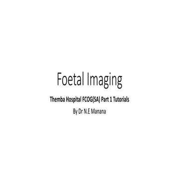2. Fetal Imaging.pptx