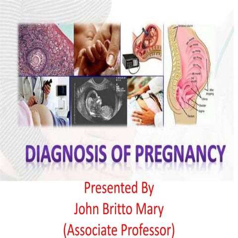 Diagnosis of pregnancy 
