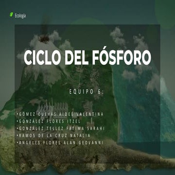 2.3.6 Ciclo fósforo.pdf
