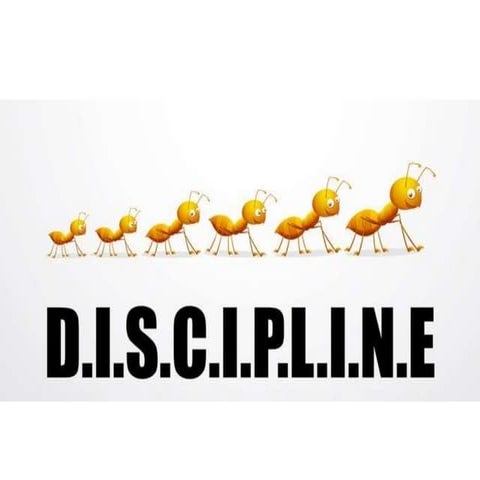 Discipline