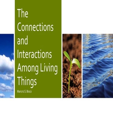 2. The Connections and Interactions Among Living Things.pptx