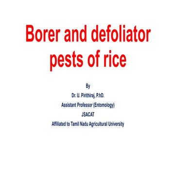 2. Borers and defoliators of rice_Dr.UPR.pdf