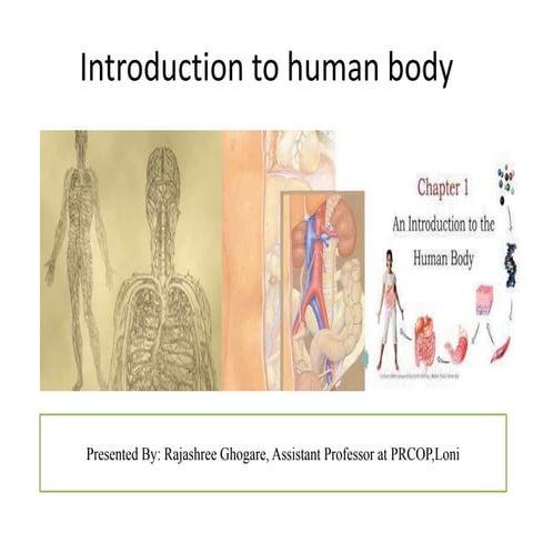Introduction to human body Explain the gross morphology, structure and functi...