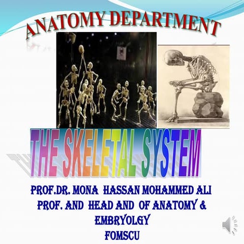 173-Anatomy-skeletal-information-for.ppt