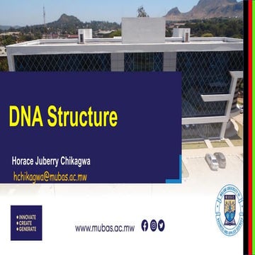 2. DNA Structure and Replication ppt.pdf