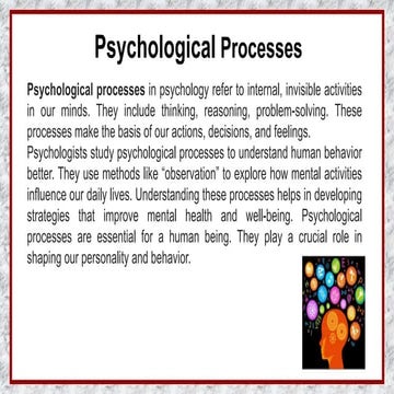 Презентация Психологические процессы 2.pptx