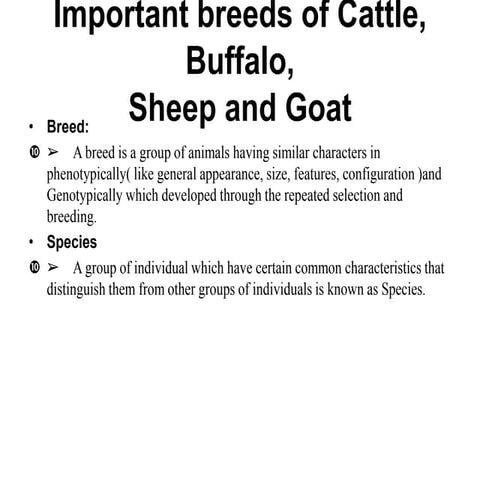 2.BREEDS OF LIVESTOCK BREEDS OF LIVESTOCK.ppt