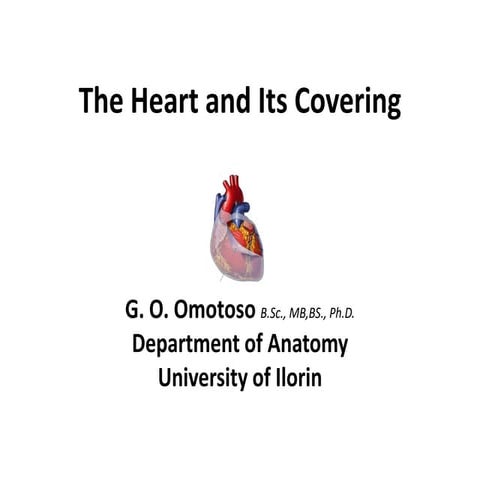2cvs.The Heart and. Its Covering 2-1.pdf